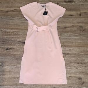 NWT RUDSAK sheath dress in a soft dusty rose pale blush, xs, V Neck, Cap Sleeve